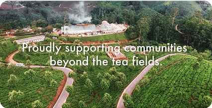 Kerala's High Range Schools - Tetley