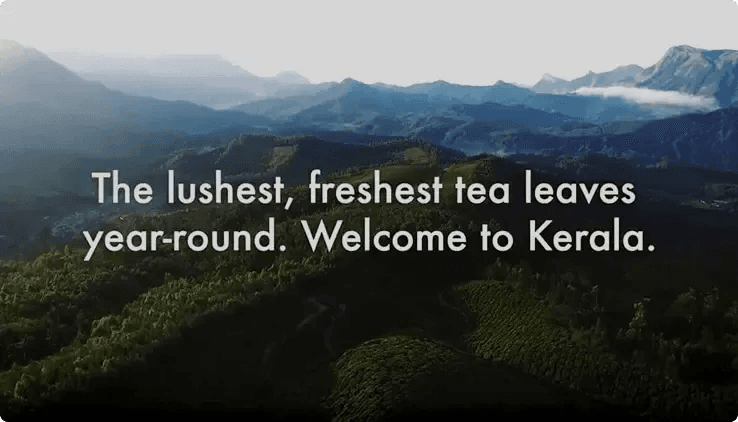 Welcome To Kerala - Tetley